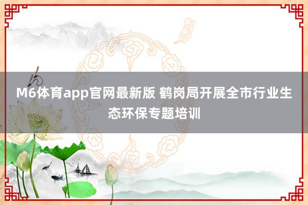 M6体育app官网最新版 鹤岗局开展全市行业生态环保专题培训