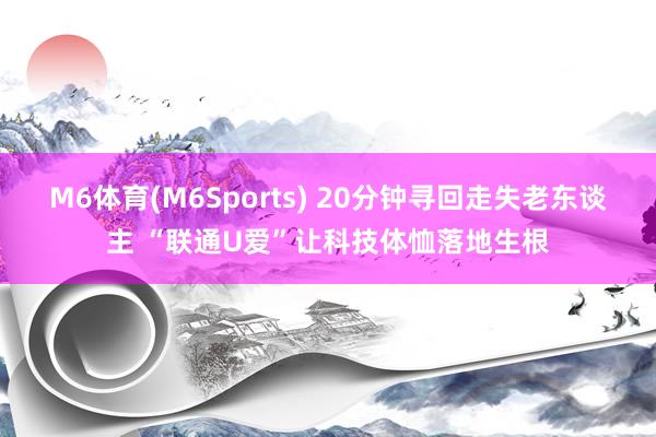 M6体育(M6Sports) 20分钟寻回走失老东谈主 “联通U爱”让科技体恤落地生根