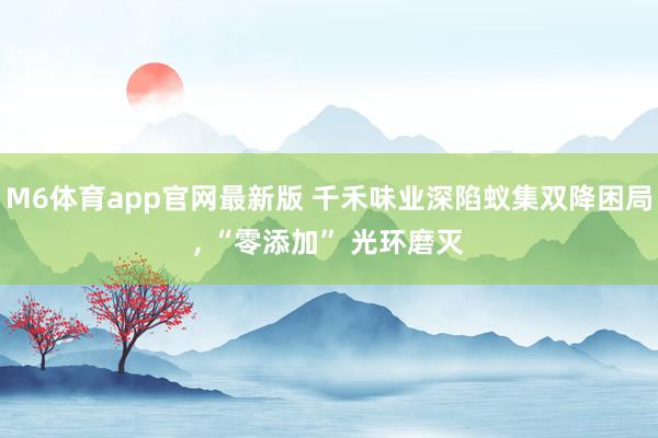 M6体育app官网最新版 千禾味业深陷蚁集双降困局， “零添加” 光环磨灭