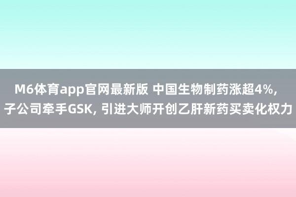 M6体育app官网最新版 中国生物制药涨超4%， 子公司牵手GSK， 引进大师开创乙肝新药买卖化权力