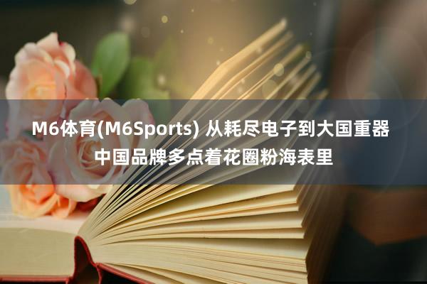 M6体育(M6Sports) 从耗尽电子到大国重器 中国品牌多点着花圈粉海表里
