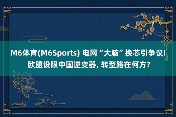 M6体育(M6Sports) 电网“大脑”换芯引争议! 欧盟设限中国逆变器， 转型路在何方?