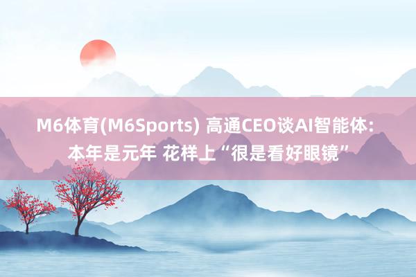 M6体育(M6Sports) 高通CEO谈AI智能体: 本年是元年 花样上“很是看好眼镜”