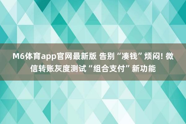 M6体育app官网最新版 告别“凑钱”烦闷! 微信转账灰度测试“组合支付”新功能