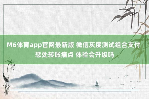 M6体育app官网最新版 微信灰度测试组合支付 惩处转账痛点 体验会升级吗