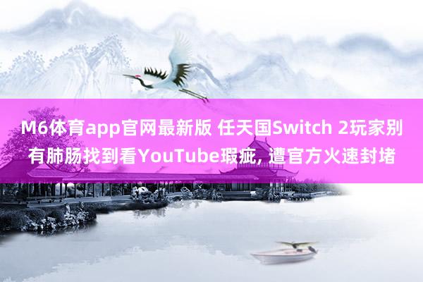 M6体育app官网最新版 任天国Switch 2玩家别有肺肠找到看YouTube瑕疵， 遭官方火速封堵