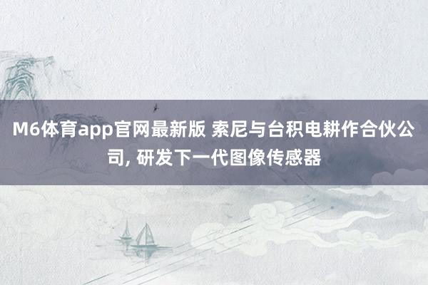 M6体育app官网最新版 索尼与台积电耕作合伙公司， 研发下一代图像传感器