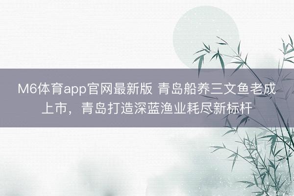 M6体育app官网最新版 青岛船养三文鱼老成上市，青岛打造深蓝渔业耗尽新标杆