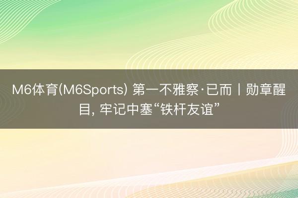 M6体育(M6Sports) 第一不雅察·已而丨勋章醒目， 牢记中塞“铁杆友谊”