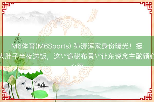M6体育(M6Sports) 孙涛浑家身份曝光！挺着大肚子半夜送饭，这