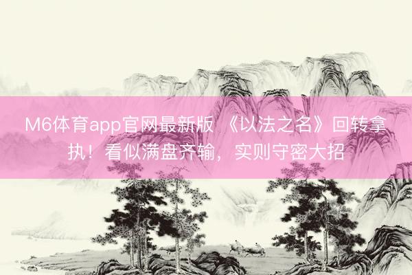 M6体育app官网最新版 《以法之名》回转拿执！看似满盘齐输，实则守密大招